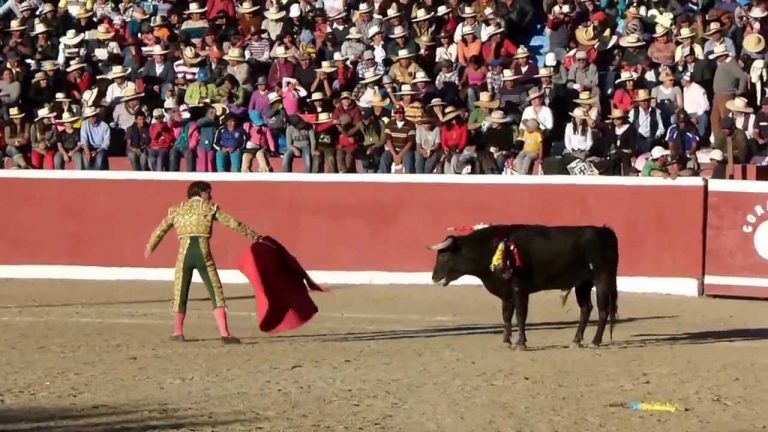 Suspendida a corrida de touros de Sarria