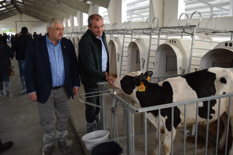 Abre o centro de recría da Deputación de Lugo coas primeiras novelas de 30 gandeiros