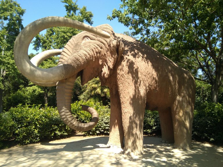 Os únicos restos de mamut de Galicia están no Incio