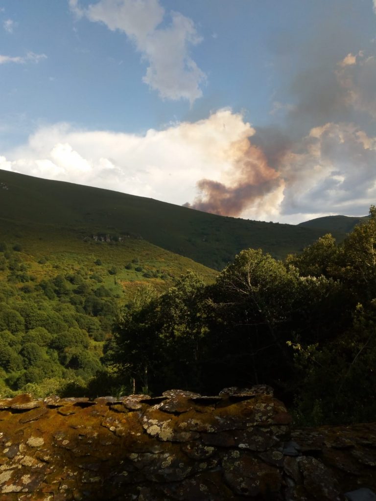 Extinguido o incendio forestal de Quiroga