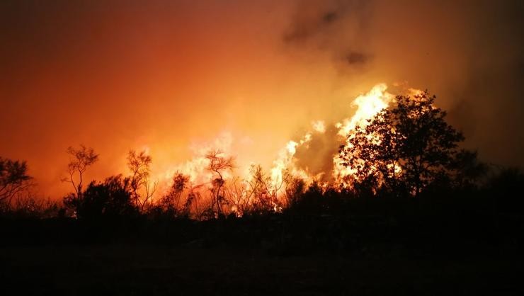 Medio Rural ofrecerá axudas para previr os danos causados por incendios