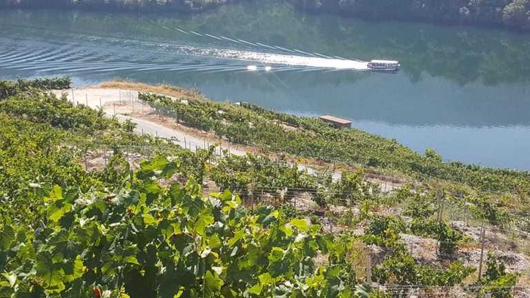 A Xunta organiza en Sober dous cursos para a xestión de empresas do sector vitivinícola