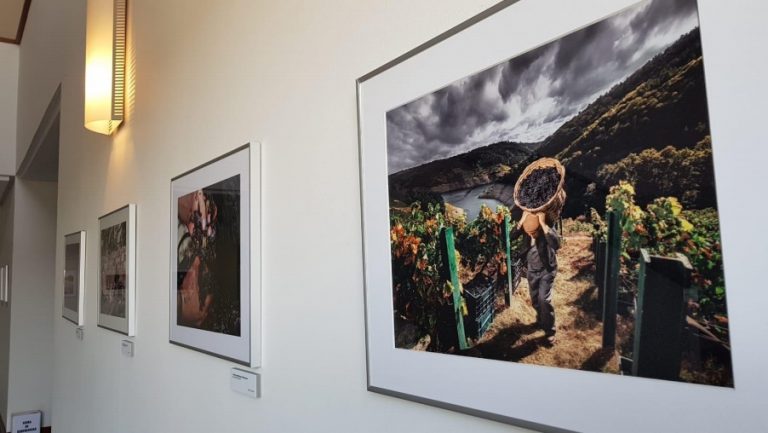 A exposición fotográfica “Viña Sacra” pecha a súa xira en Monforte