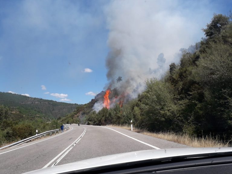 Outro lume na contorna da N-120 en Quiroga