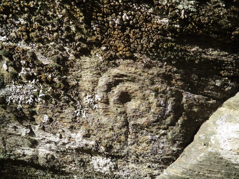 Patrimonio dos Ancares solicita que se cataloguen como BIC os petroglifos de Monte Carballedo
