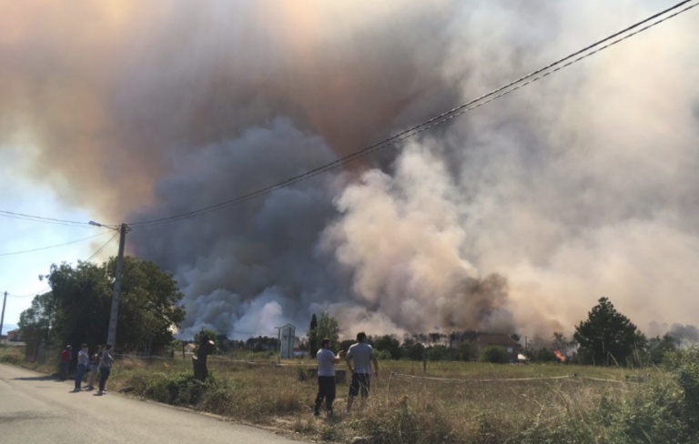 Os datos policiais elevan a 706 hectáreas a superficie arrasada no lume de Monforte