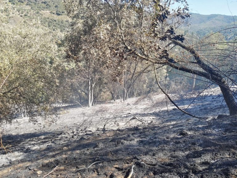 Suspendida a realización de queimas nos terreos rústicos ata novo aviso