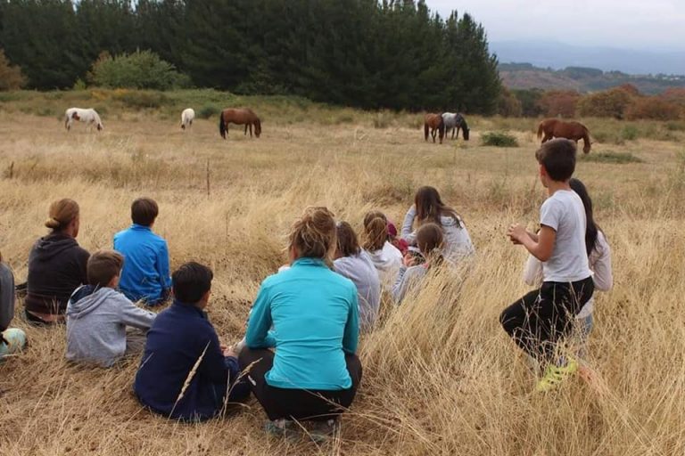 “Os cabalos achégante a un estado de presenza, de que o que importa é o agora”, Candy Rodríguez, coaching con cabalos