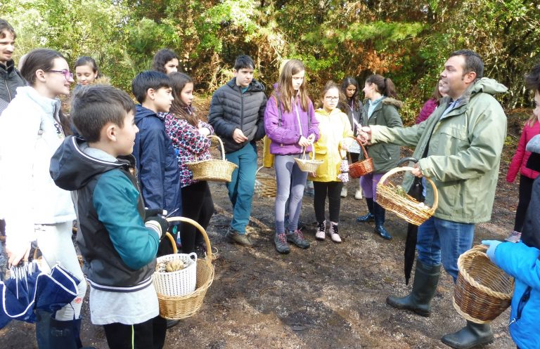 Cogomelos e castañas protagonizan as actividades do outono