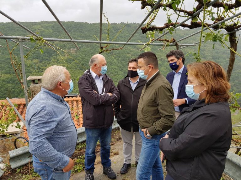 Técnicos da Evega asesoran en Chantada aos viticultores afectados polo pedrazo