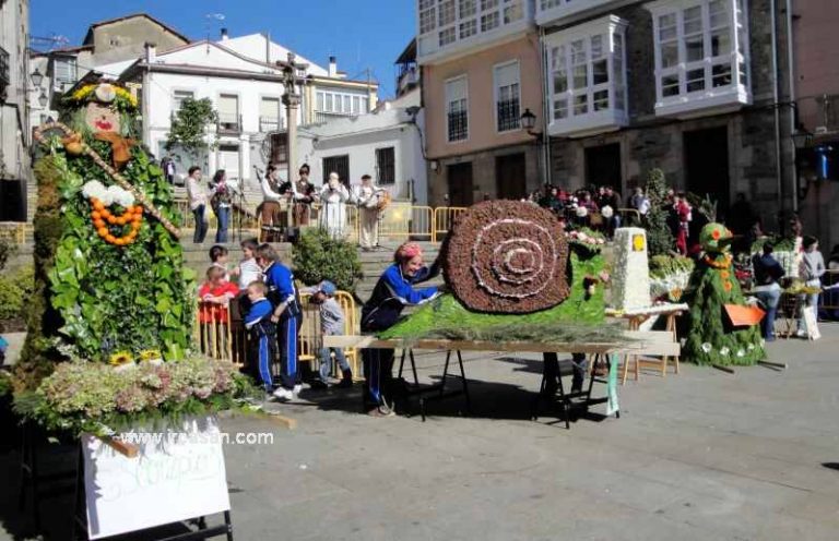 O Concurso dos Maios volve a Monforte o día 5