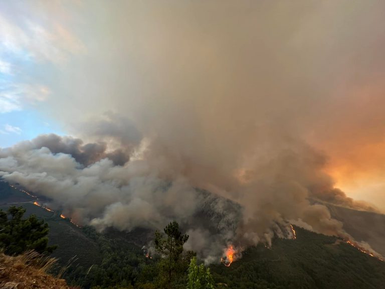 O PP solicita por vía urxente ao Goberno central a declaración de zona catastrófica dos concellos afectados polos lumes