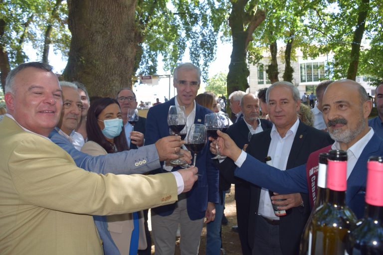 A Deputación de Lugo destaca os viños da Ribeira Sacra durante a I Festa da Vendima do Saviñao