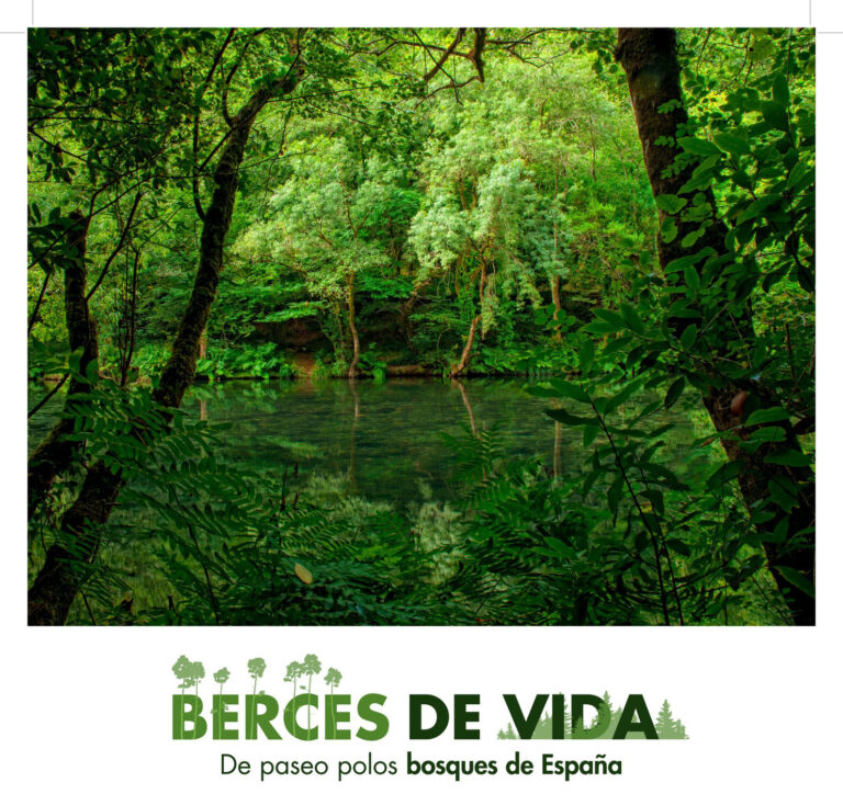“Berces de vida. De paseo polos bosques de España” chega a Sarria o 6 de setembro
