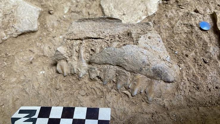 Recentes escavacións na Cova Eirós arroxan datos novos sobre a vida e arte do Paleolítico galego, hai máis de 45.000 anos