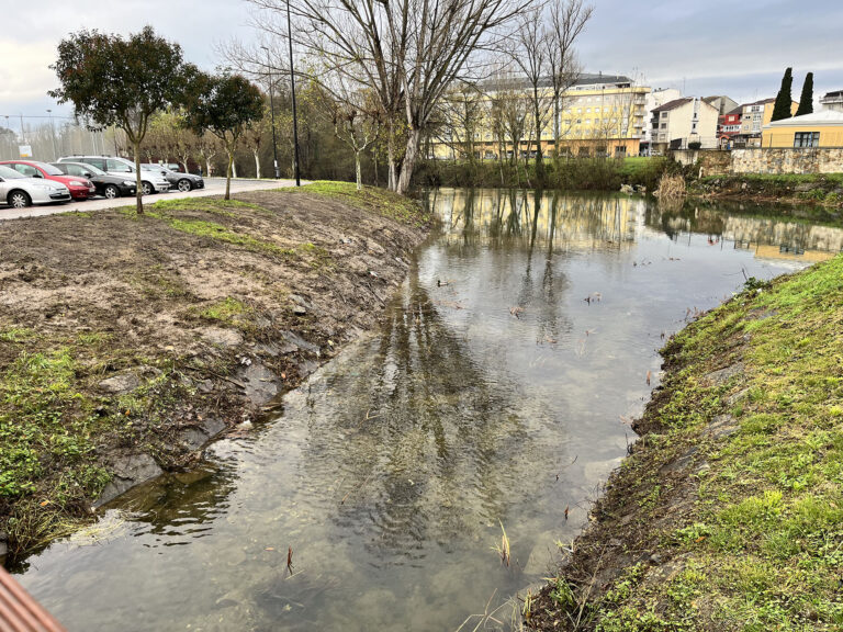 O concello limpa as marxes do río Cabe ao seu paso pola cidade
