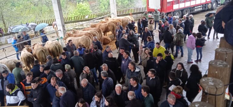 Feira e poxa de Gando en Seoane do Courel