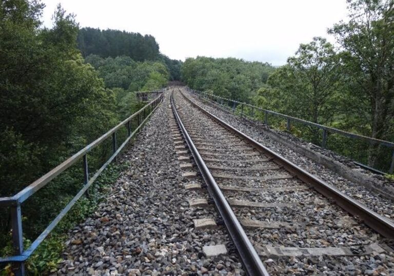 O PP preguntará no Congreso polo tren entre Monforte e Ourense