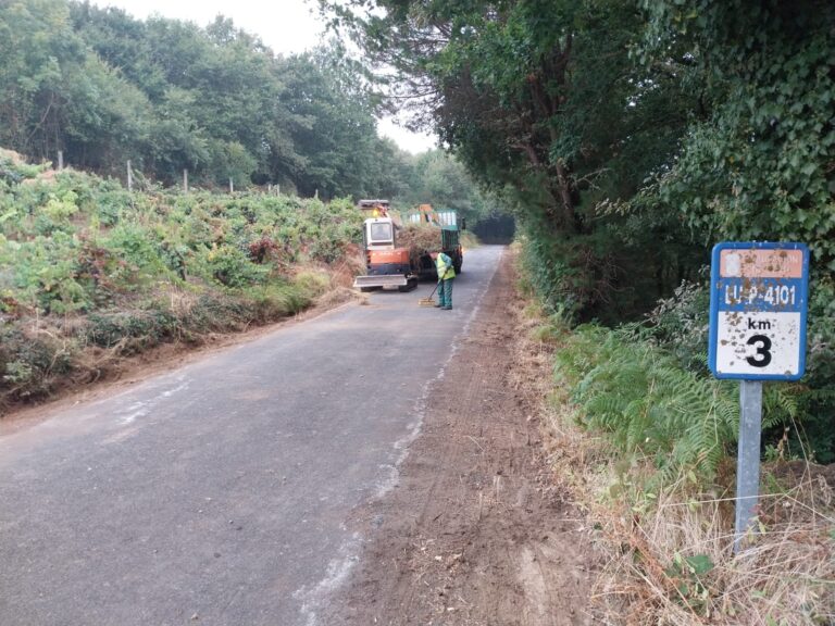 Comeza a mellora dun treito da estrada provincial que une Siós e A Panfolía en Pantón