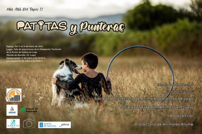 “Patitas y Punteras” da monfortina, Tamara Lebón, a exposición no edificio da Xunta en Lugo