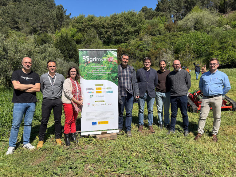Ensaio en Quiroga para combater as herbas de viñas e oliveirais con ovellas e robots desbrozadores