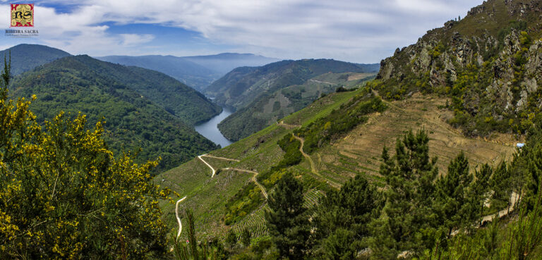 A D.O. Ribeira sacra presente en FENAVIN