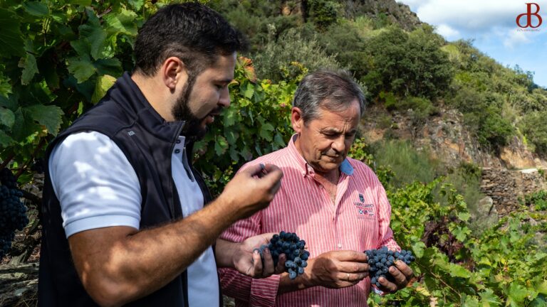 Premio ‘Best in Show’ para ‘La Capona Amandi 2019’ da Adega Don Bernardino