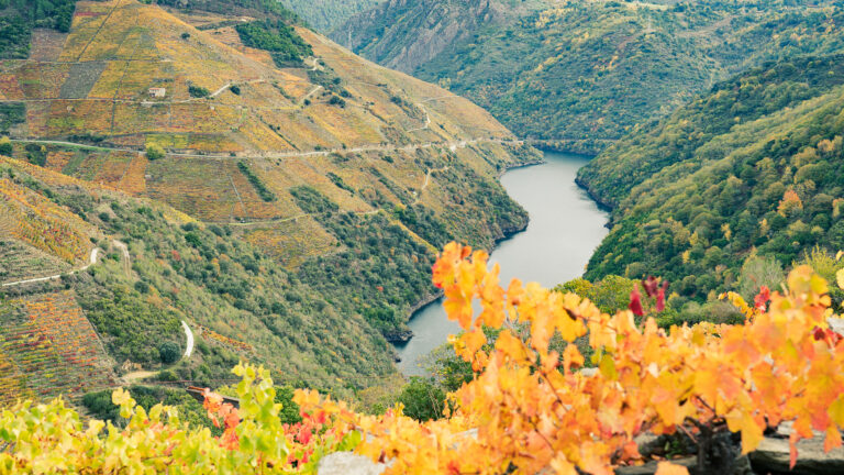 A Ruta do Viño da Ribeira Sacra certificada como unha das 38 ‘Rutas do Viño de España’