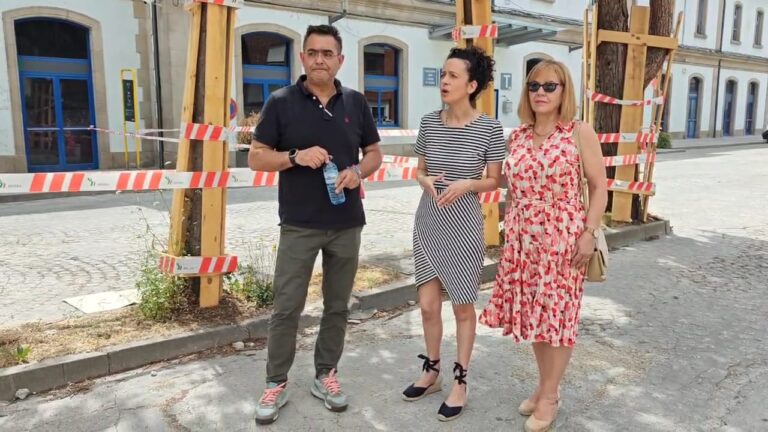 O PP de Monforte pedirá no pleno instar ao Ministerio de Transporte a mellorar as frecuencias ferroviarias da cidade e rematar as obras da estación