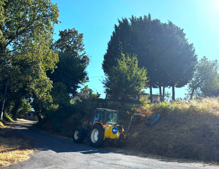 Monforte destina 22.000€ anuais aos desbroces das pistas municipais
