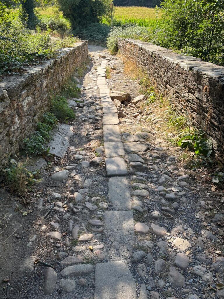 O PSdeG de Sarria denuncia o abandono da ponte da Áspera