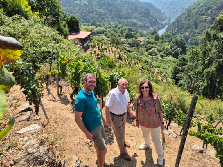 Medio Rural destaca as achegas de máis de 1.3M€ para a conservación da contorna paisaxística na Ribeira Sacra
