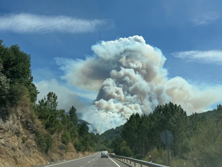 20.000 hectáreas levan ardidas co incendio que comezou en Larouco o día 13