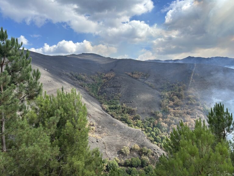 Controlado este domingo pola mañá o incendio de Carballedo, parroquia da Cova