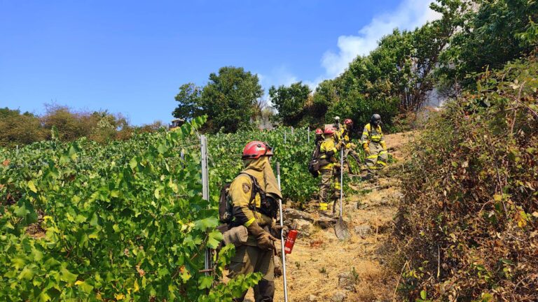 Desactivada a Situación 2 no incendio da Pobra do Brollón