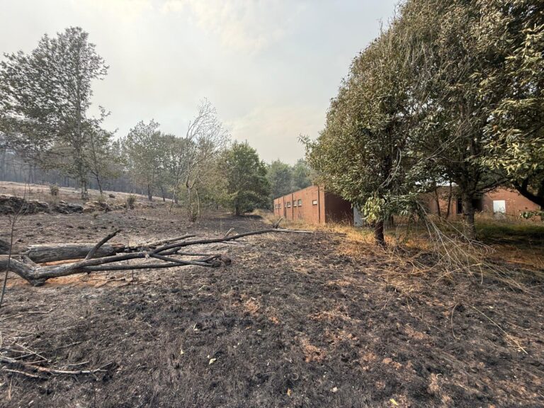IGV reclama á Xunta mellor xestión na prevención de incendios e insiste no “fracaso das faixas de protección”
