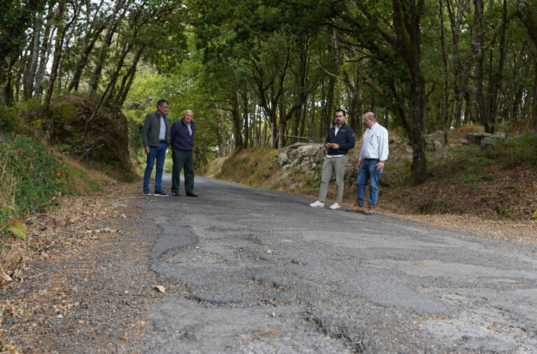O PP pide á Deputación que arranxe a LU-P-4112 en Pantón
