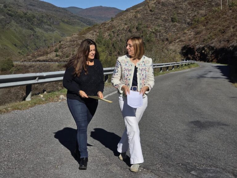 A segunda fase da mellora da LU-651 entre Folgoso e Seoane, un dos principais investimentos da Xunta no 2026, aseguran os populares