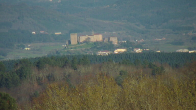 “Sen xuntas como a de Monforte dificilmente se podería resistir ao exército francés”, Alberto Rico, historiador