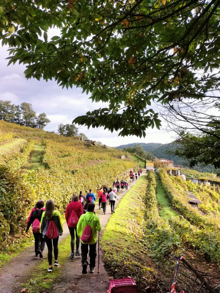 A asociación ‘Chantada contra o cancro’ anima a inscribirse na súa andaina solidaria