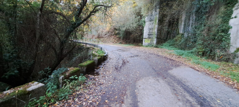 O BNG de Pantón reclama o arranxo da N-120A