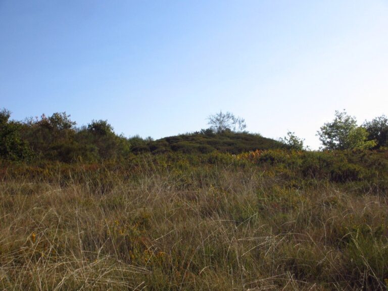 Roteiro “entre petróglifos e castros” en Pantón