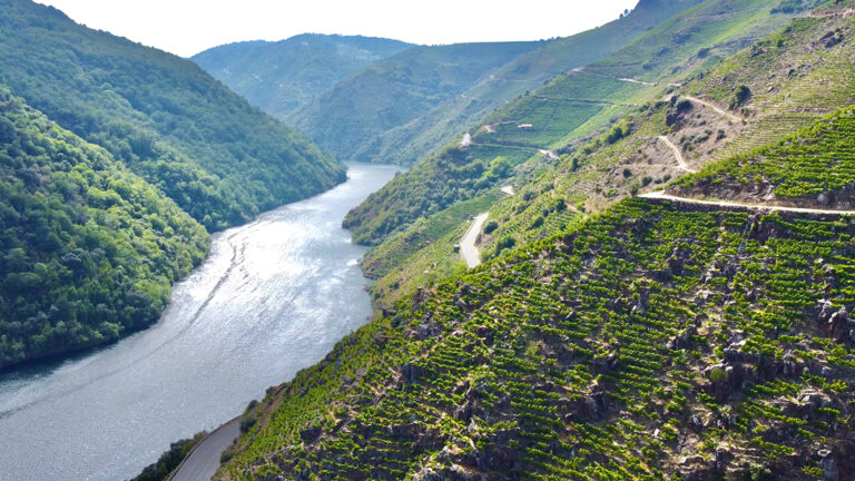 1,5M€ para a segunda convocatoria das axudas destinadas á conservación paisaxística na Ribeira Sacra