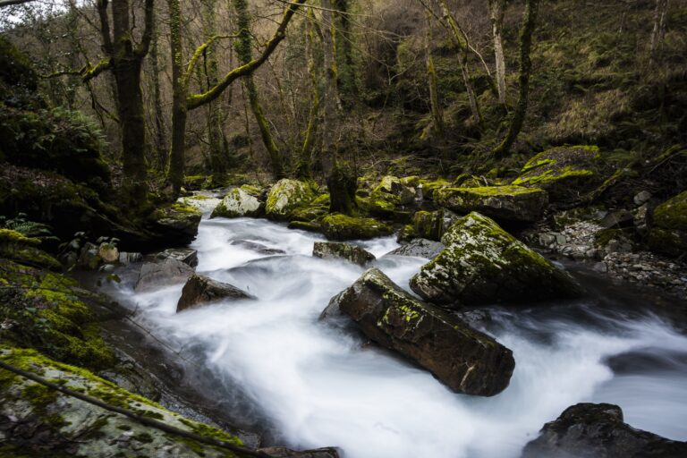Conta atrás para o ‘Quiroga Trail Challenge’, proba que está preto das 1000 inscricións