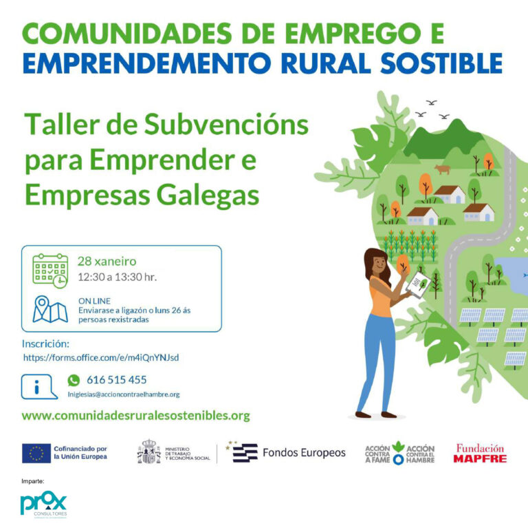 Taller de Subvencións para Emprender e para Empresas Galegas, o 28 de xaneiro online