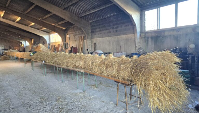 “O tamaño do Gran Fachón non se desvela ata o propio día”, Sara Inés, Alcaldesa de Castro Caldelas