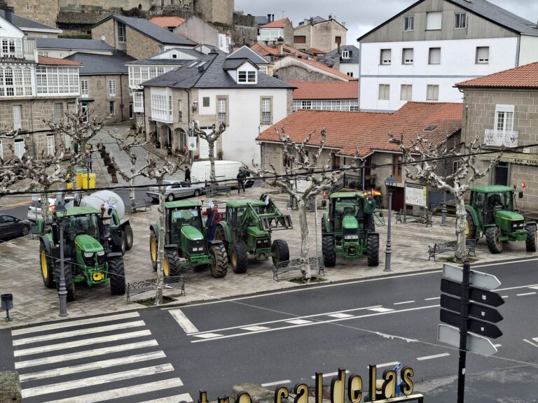 O Concello de Castro Caldelas solidarízase coas preocupacións dos gandeiros