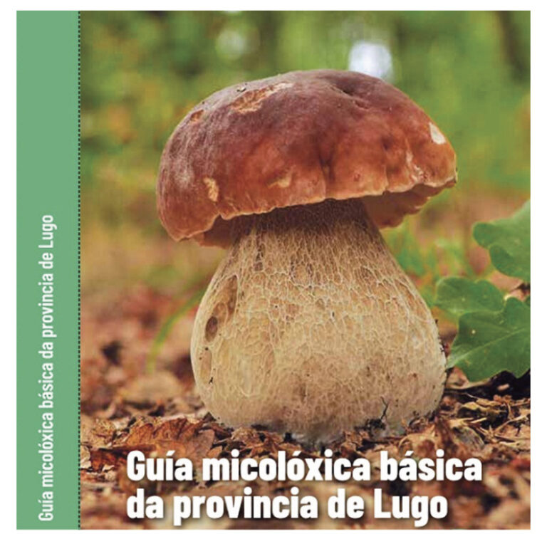 Este 16 de xaneiro preséntase en Chantada “Guía Micolóxica Básica da Provincia de Lugo”