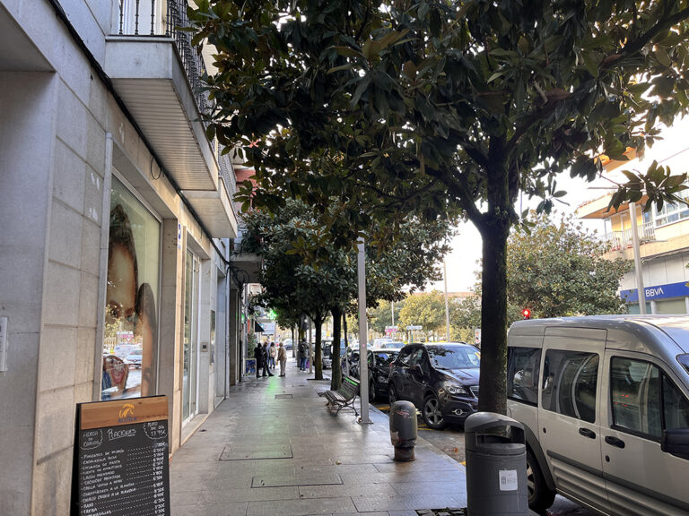 Monforte fará unha poda de rebaixe nos magnolios dun tramo da rúa Cardeal