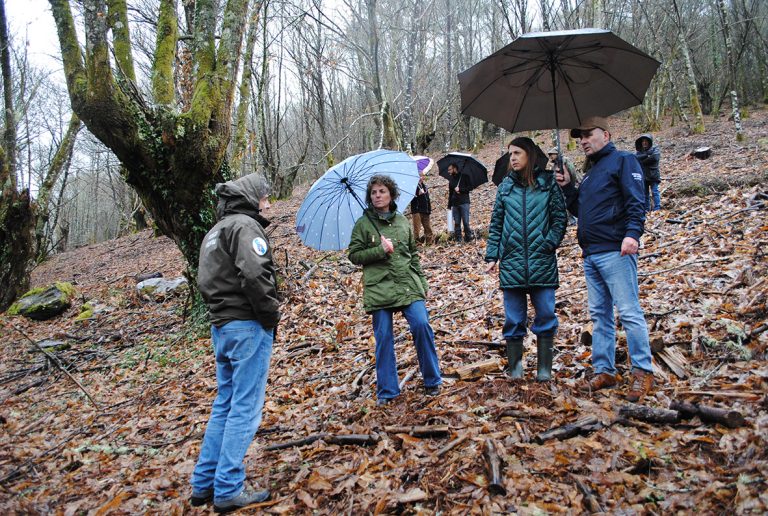 Medio Rural destaca as agrupacións forestais de xestión conxunta para evitar o abandono do monte